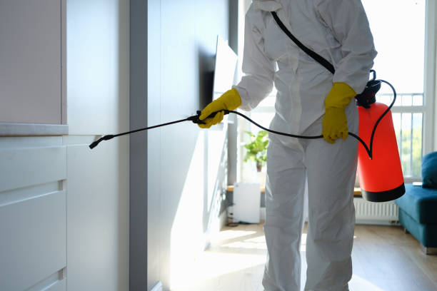 Best Mold removal after water damage  in Silver Lake, NJ